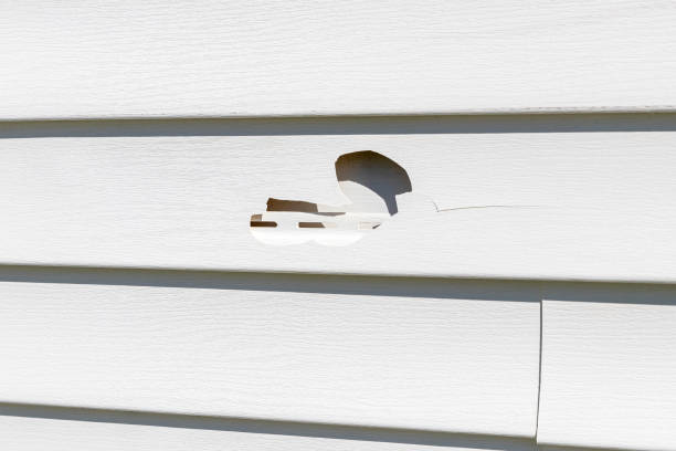 Reliable Hokes Bluff, AL Siding Installation Solutions